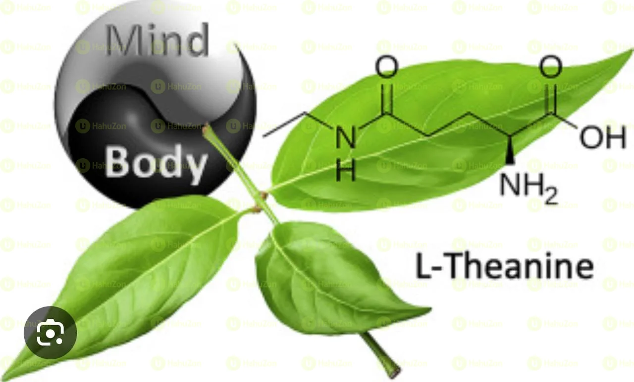 Nature Made L-Theanine