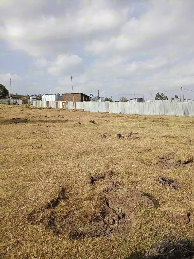 50,000 ካሬ የሚከራይ ቦታ በላምበረት ኮተቤ