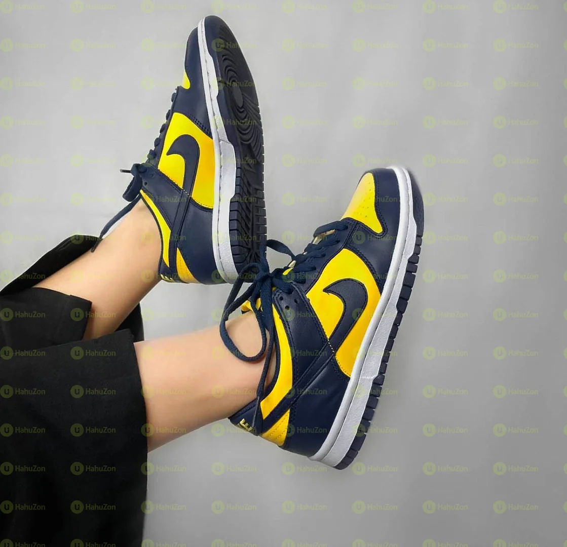 Neike Dunk Michigan Women's Shoes