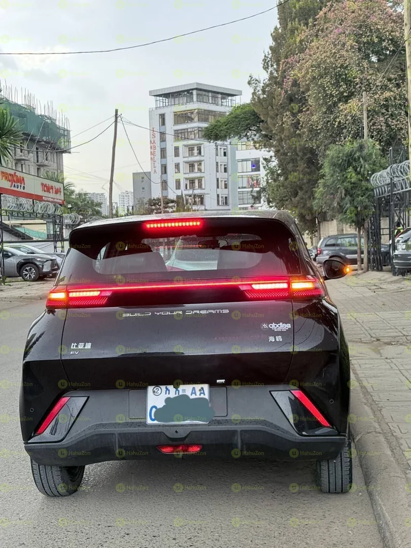 2023 Model-BYD Seagull