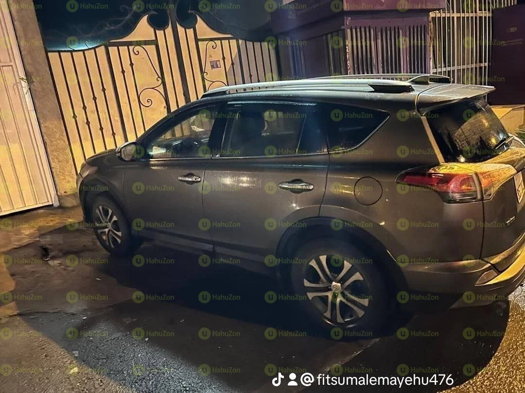 2016 Model-Toyota Rav4