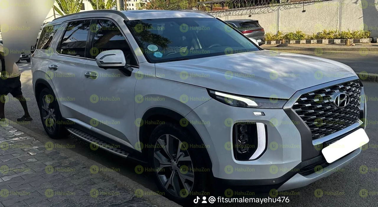2023 Model-HyundaI Palisade