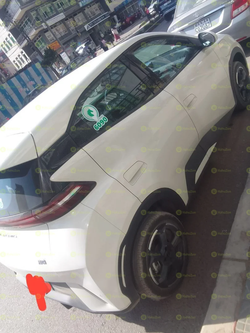 2024 Model- BYD Seagull