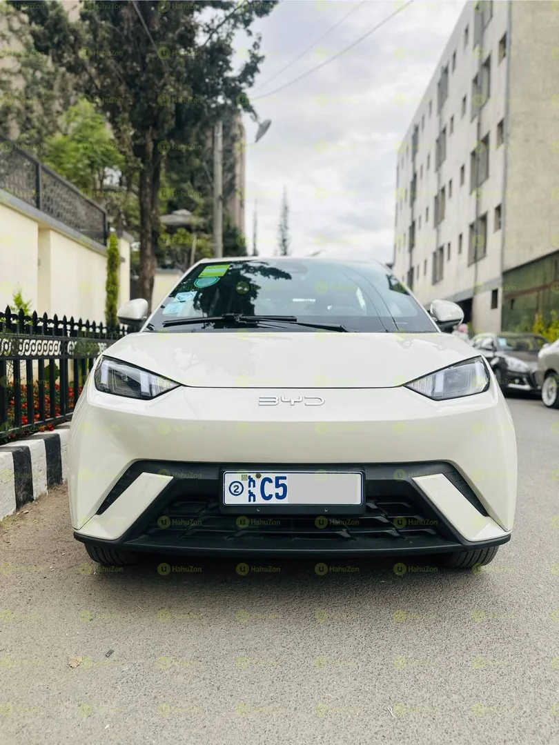 2024 Model- BYD Seagull