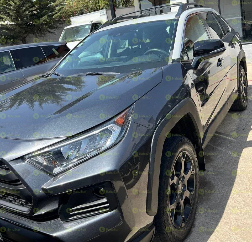 2020 Model-Toyota Rava 4