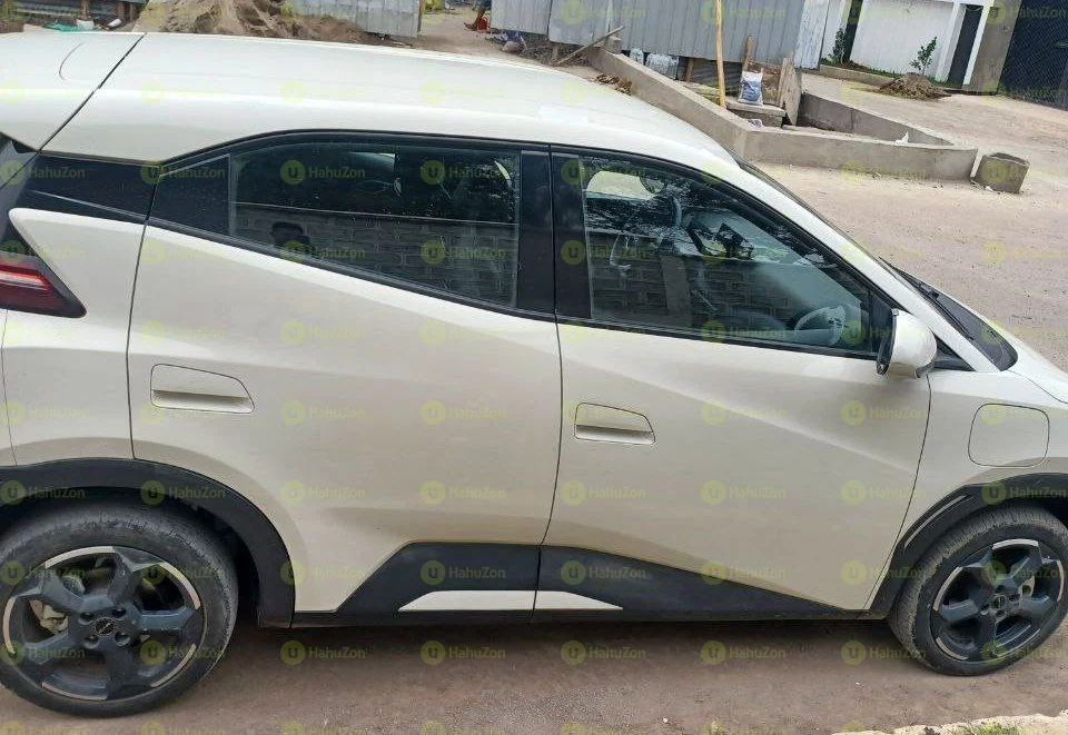 2022 Model-BYD Seagull