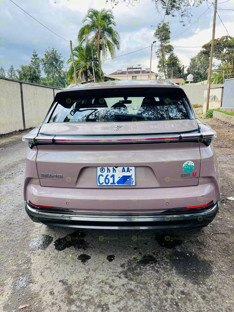 2023 Model-Hozon Neta