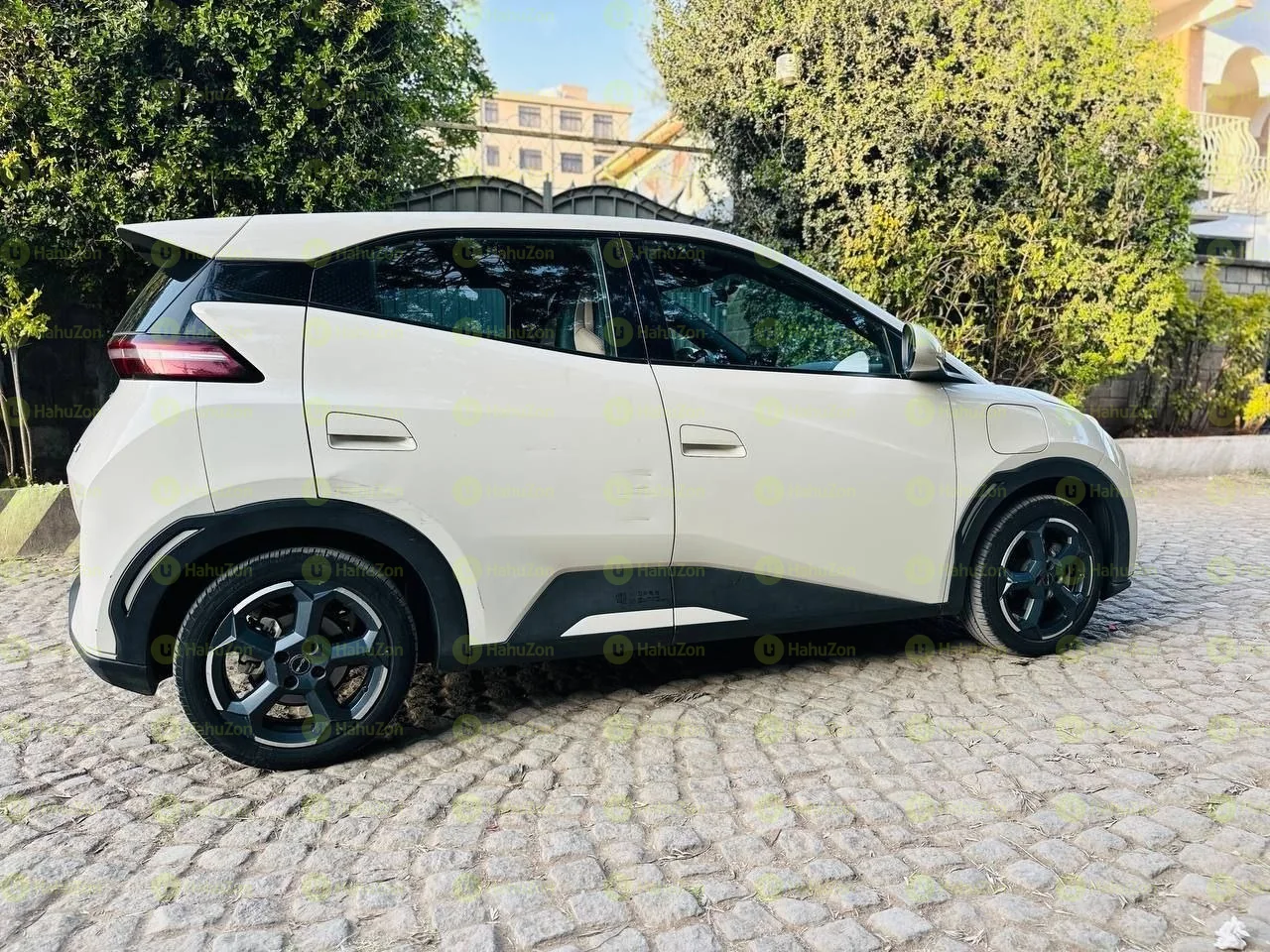 2024 Model-BYD Seagull