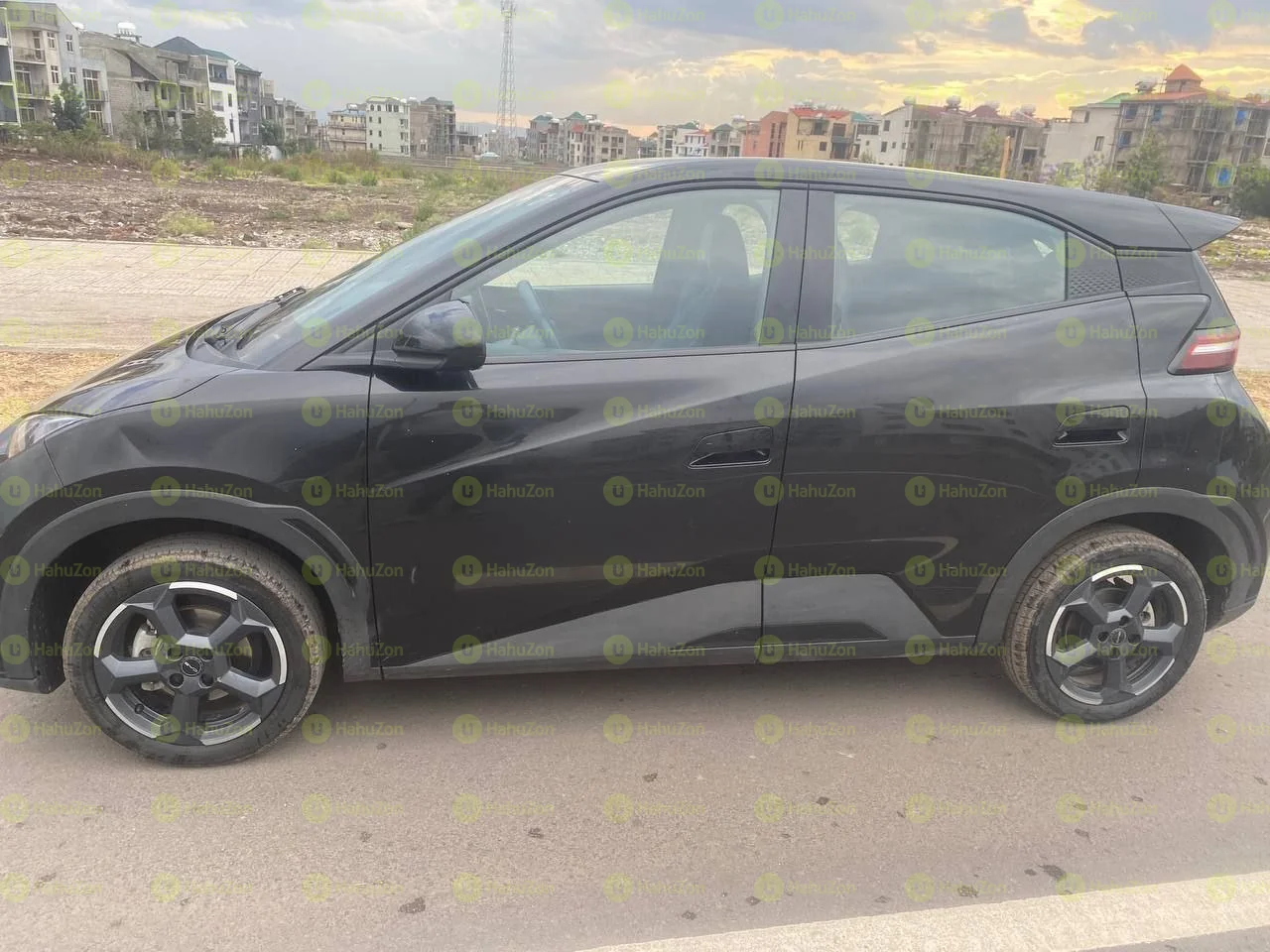 2024 Model-BYD Seagull