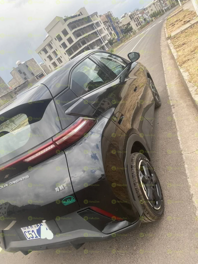 2024 Model-BYD Seagull