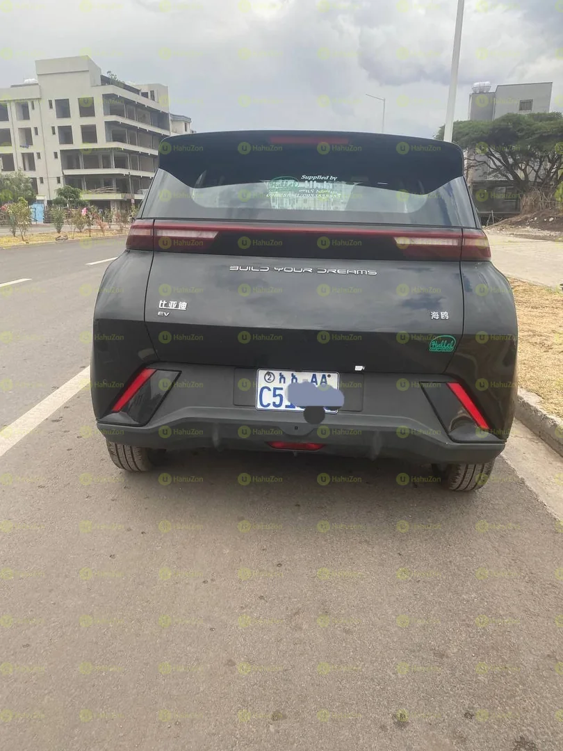 2024 Model-BYD Seagull