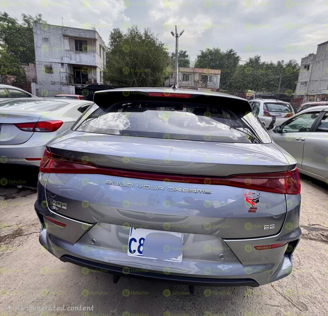 2025 Model-BYD e2