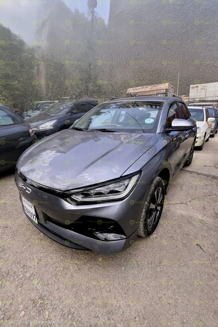 2025 Model-BYD e2