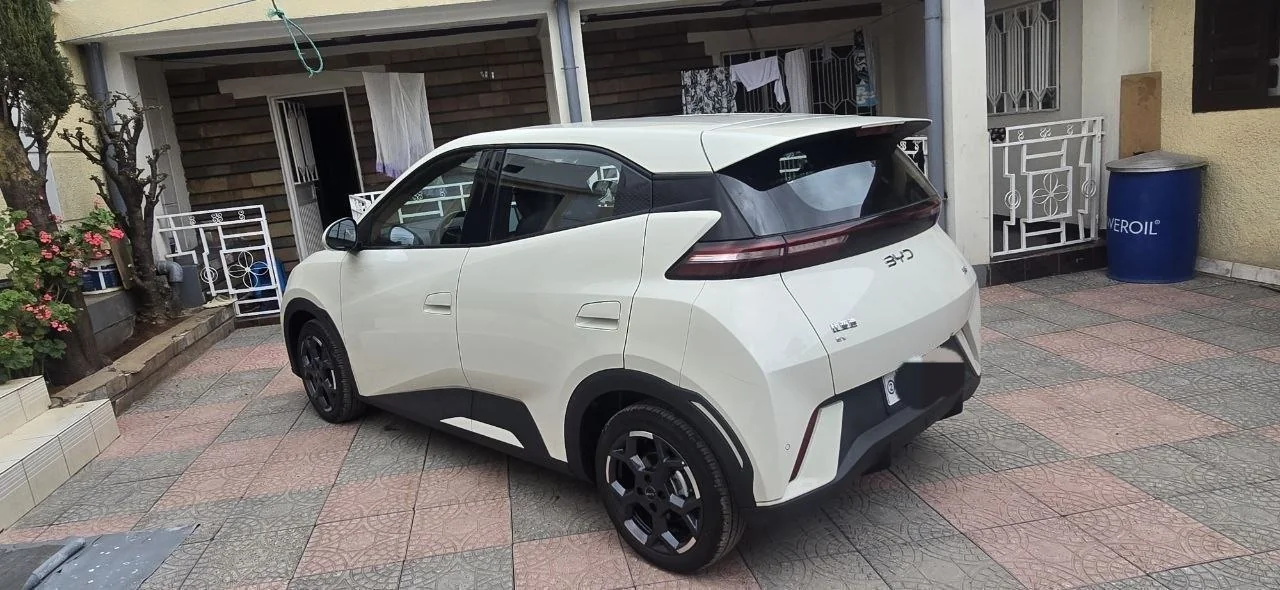 2024 Model-BYD Seagul