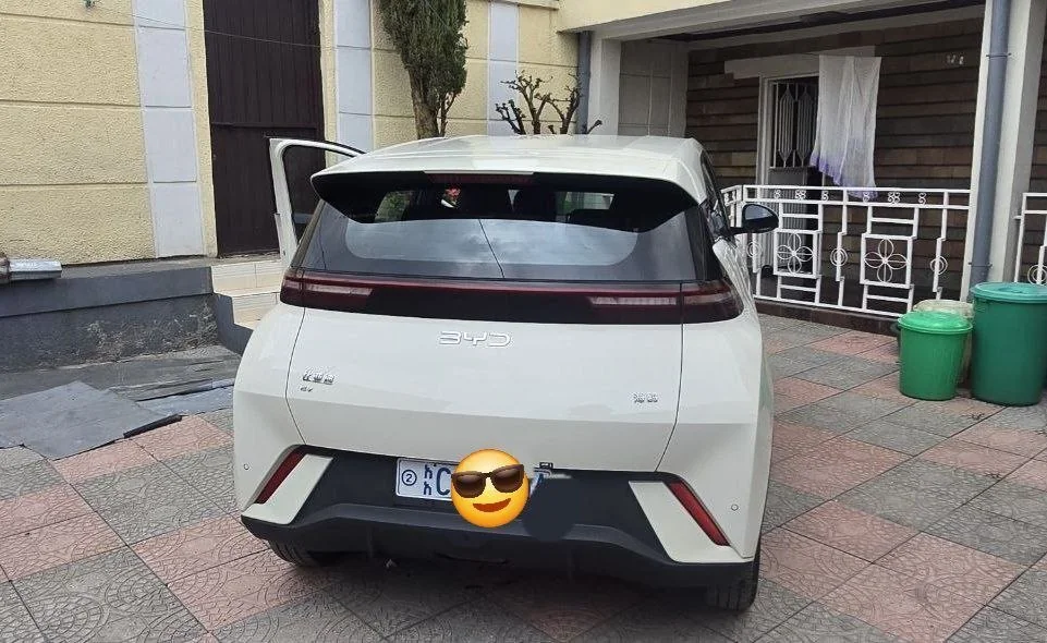 2024 Model-BYD Seagul