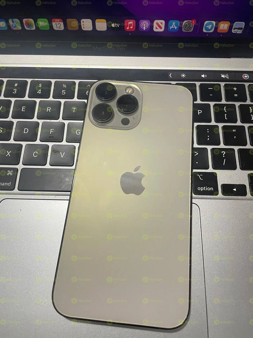 Apple iPhone 13 Pro Max