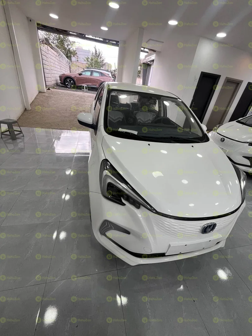 2024 Model-Changan BenBen E Star