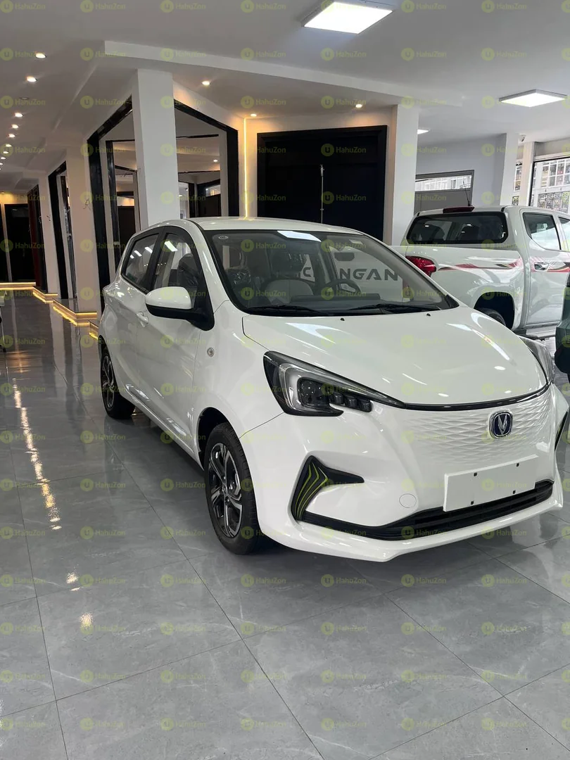 2024 Model-Changan BenBen E Star