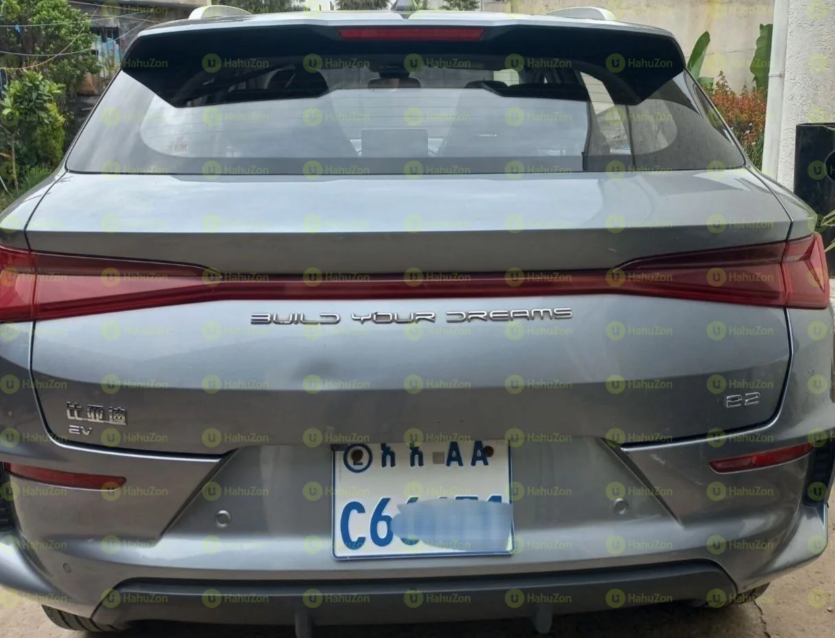 2024 Model-BYD E2