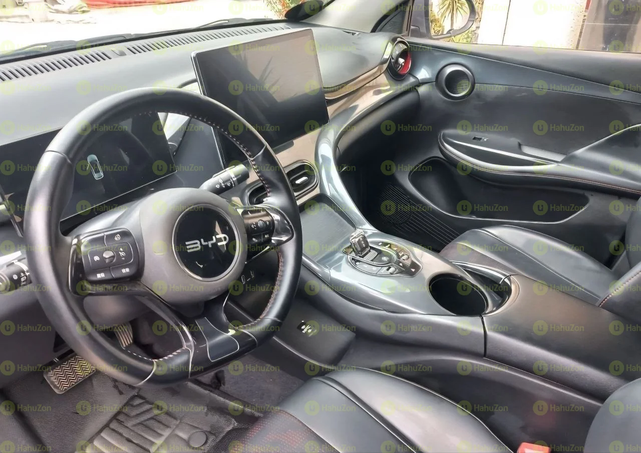 2024 Model-BYD E2