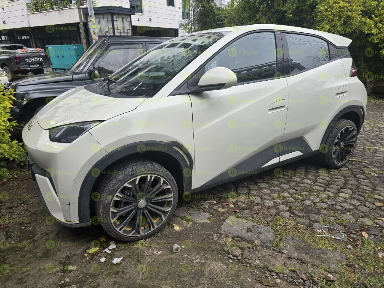 2024 Model-BYD Seagull