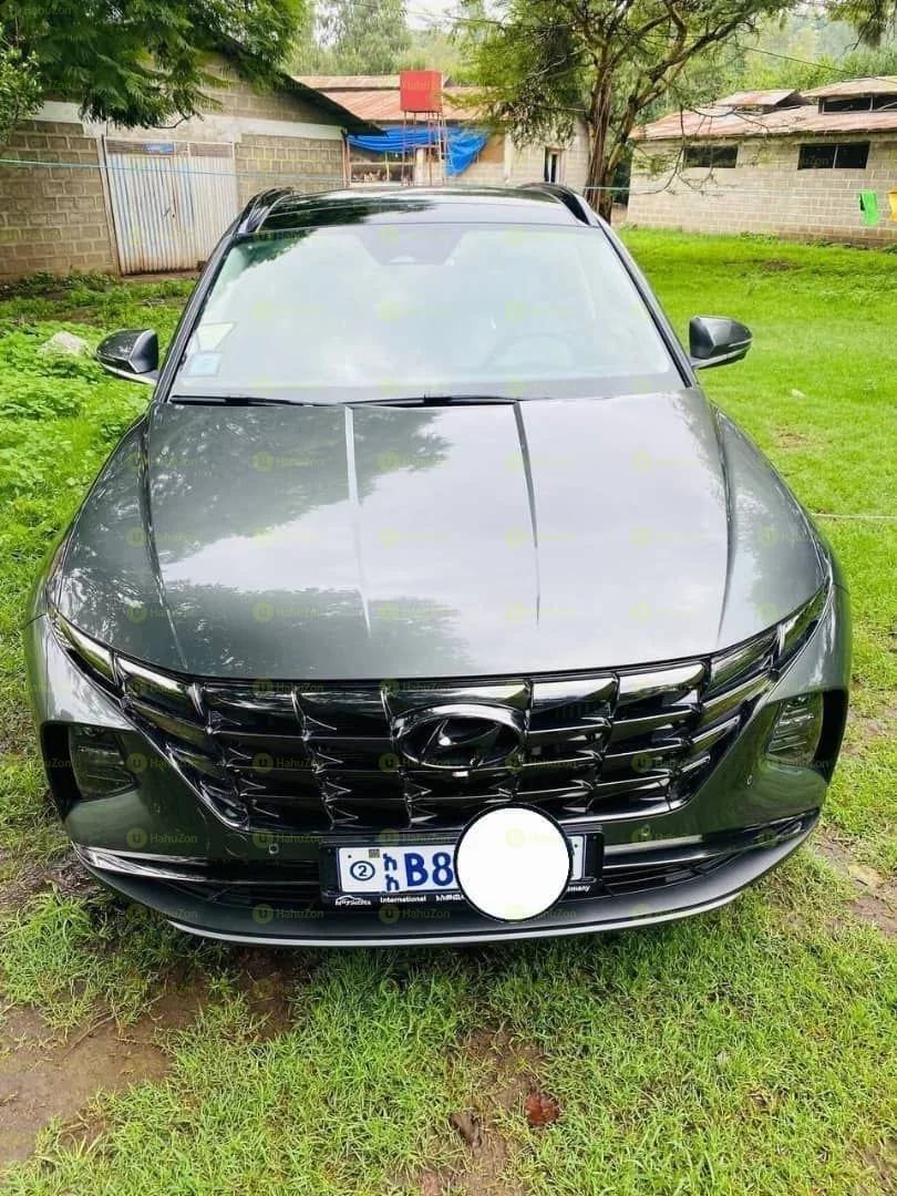 2021 Model-Hyundai Tucson